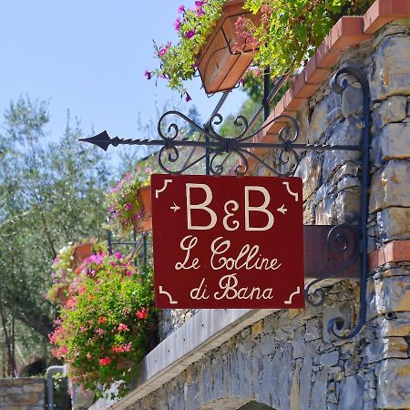 B&B Le Colline Di Bana קמוגלי מראה חיצוני תמונה