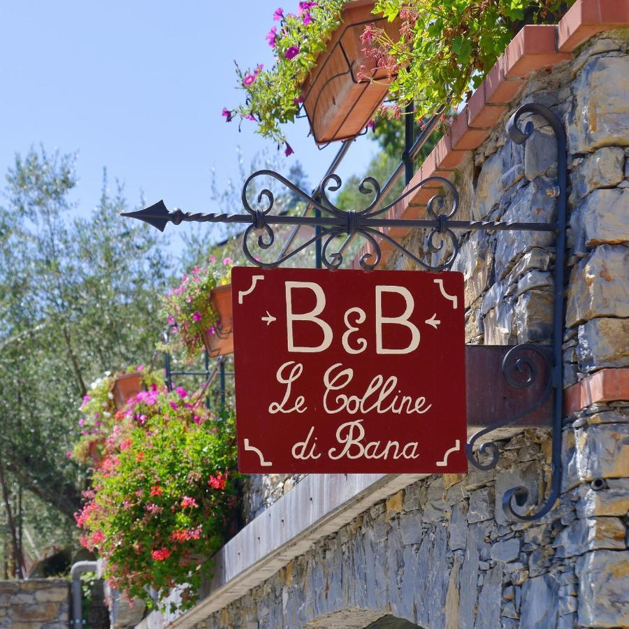 B&B Le Colline Di Bana קמוגלי מראה חיצוני תמונה