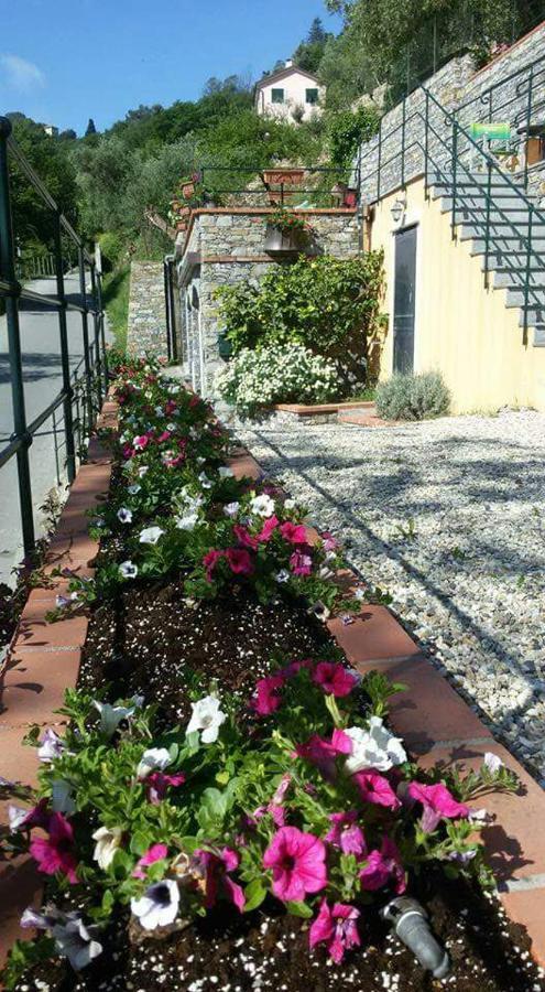 B&B Le Colline Di Bana קמוגלי מראה חיצוני תמונה