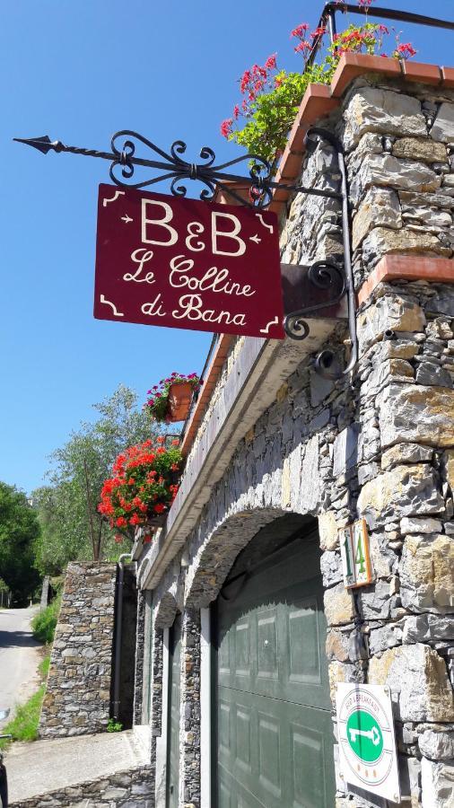 B&B Le Colline Di Bana קמוגלי מראה חיצוני תמונה