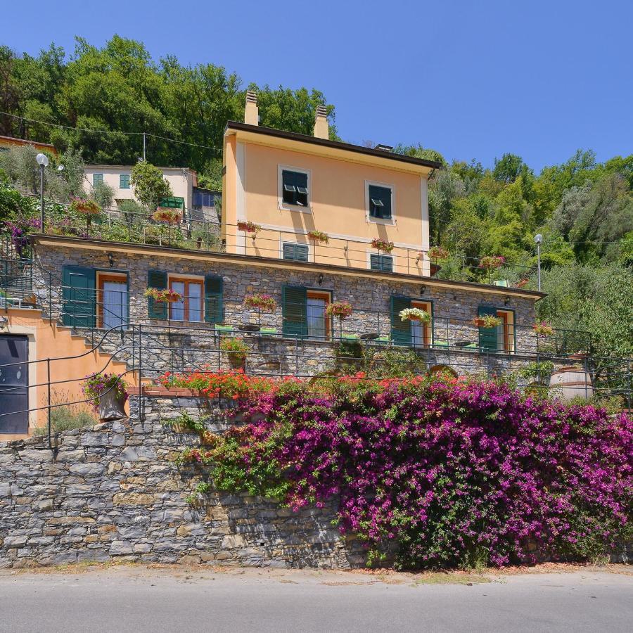 B&B Le Colline Di Bana קמוגלי מראה חיצוני תמונה